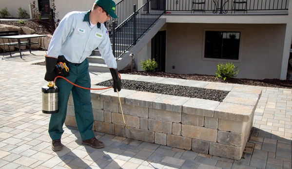 Edge Pest Control and Mosquito Services - Northglenn, CO