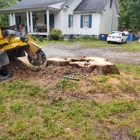 Black Dog Stump Grinding