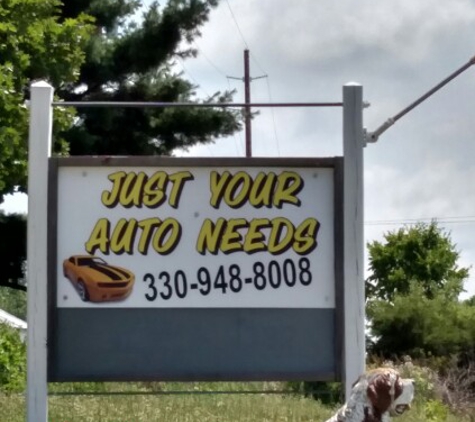 Just Your Auto Needs - Lodi, OH