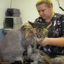 Dirty Paws Grooming Spa - Pet Services