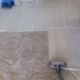 561 Carpet & Tile