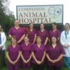 Companion Animal Hospital gallery