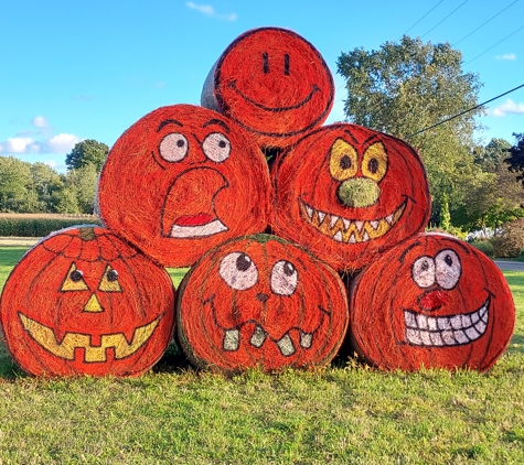 Sissons Pumpkin Patch - Girard, PA