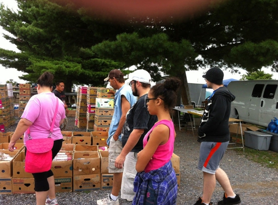 Shen-Valley Flea Market at Double Tollgate - White Post, VA