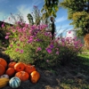 Benton Family Farm gallery