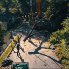 Tree Worx