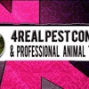 4Real Pest Control & Professional Animal Trapping gallery