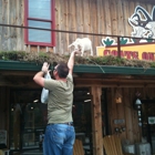 Goats on the Roof