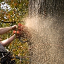 Aaron's Perfect Cut Tree Service - Tree Service