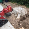 Nubbs Stump Removal gallery