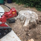 Nubbs Stump Removal