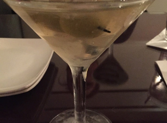 Olive Black Martini and Wine Lounge - Richmond, IL