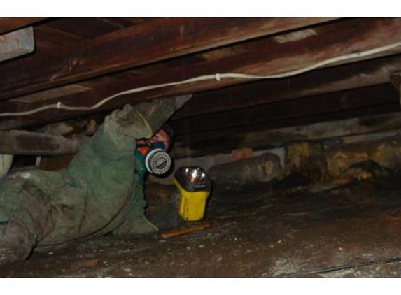 Systems Pest Management Pty Ltd