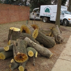 Twin Oak Tree Care