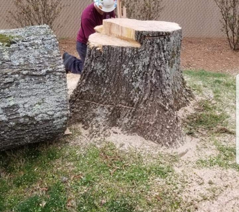 Dalton's Tree Service - Hickory, NC. This is one tree we took down and cleaned up for a happy costumer.