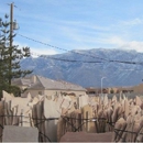 Pete's Top Quality Landscaping - Landscape Contractors