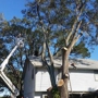 JW Tree Work Inc.