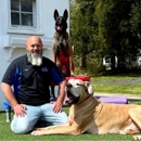 Lead The Way Dog Training - Dog Training