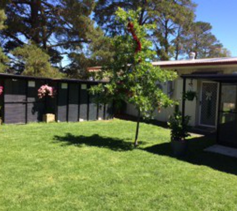 Whispering Pines Dog Training & Boarding Centre - Parkesbourne, NSW. Our runs to allow your best friend to stretch their legs