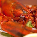 Lobster Tail Restaurant & Fish Market - Fish & Seafood Markets