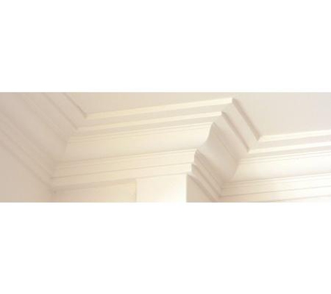 D.R. Plaster