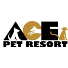 Ace Pet Resort