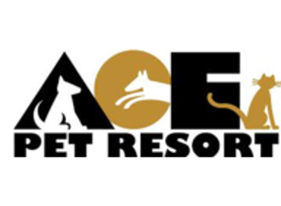 Ace Pet Resort - Sarasota, FL