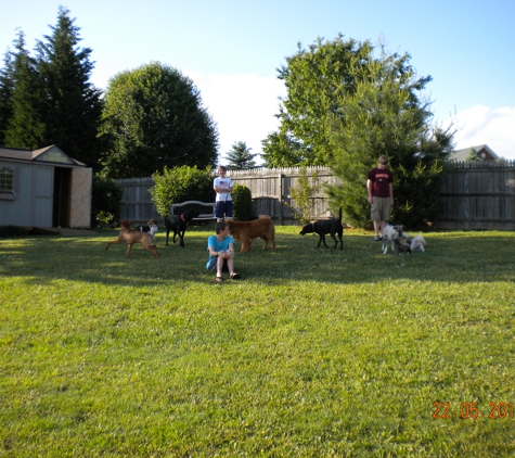 Blacksburg Critter Care and Boarding, LLC - Blacksburg, VA