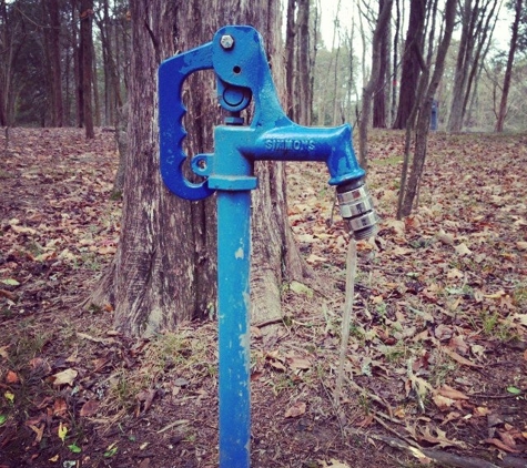 Bledsoe Creek State Park - Gallatin, TN