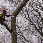 Total Tree Service