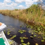 Florida Airboating