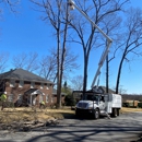 Tyndal Tree Service - Tree Service