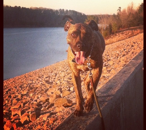 Falls Lake Dam - Wake Forest, NC