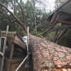Timberline Expert Tree Service gallery