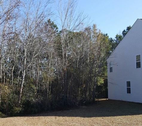 Benoit Carpentry and Tree Services - Murrells Inlet, SC