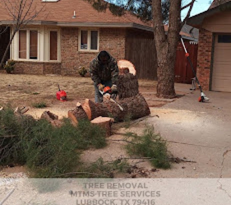 MT&S Tree Services - Lubbock, TX