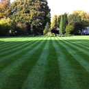 Five Point Lawn Service & Snow Removal - Lawn Maintenance