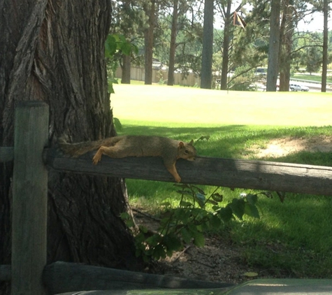 Willis Case Golf Course - Denver, CO