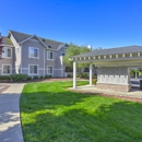 Bay Vista at Meadow Park - Apartments