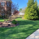 Martin Rosas Lawn Care Services - Paving Contractors