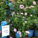 Lewis Country Gardens - Garden Centers