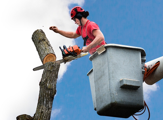 Broadleaf Tree Care - Glenview, IL