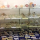 Worldwide Specimen Shells Ed's Shell House - Museums