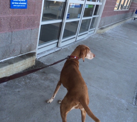 PetSmart - Warminster, PA