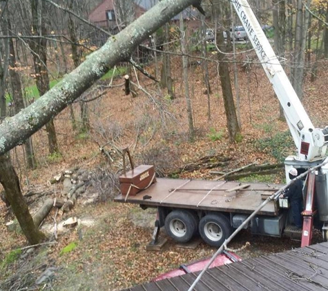 Fellers Tree Removal