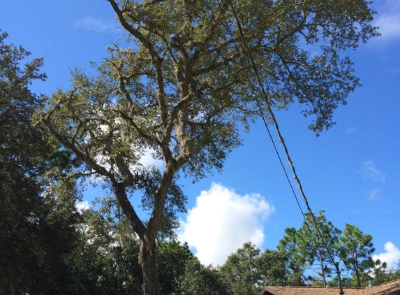 Fullington Lawn & Tree Services LLC - Homosassa, FL