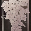 Etchings-Custom Etched Glass Bonnie Brown Design gallery