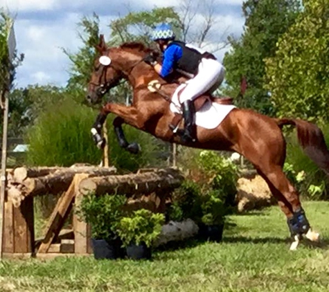 Emily Ragan Eventing At Hidden Bridge - Prospect, KY