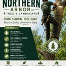 Northern Arbor Tree Service and Landscape - Stump Removal & Grinding