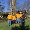 Maxima's Tree Service LLC gallery